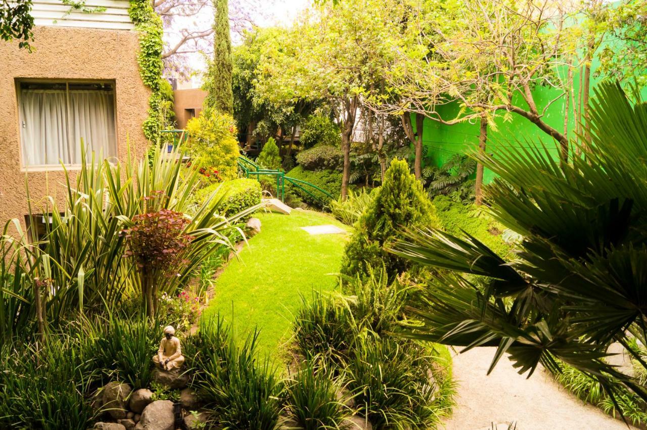 Suite 4A, Terraza, Garden House, Welcome To San Angel Mexico by Eksteriør bilde