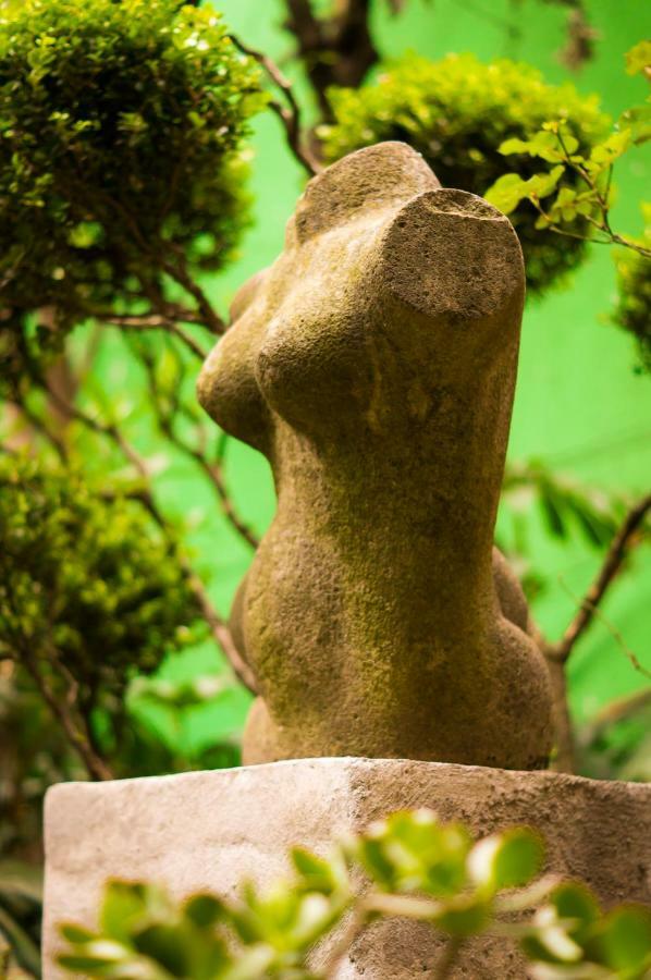 Suite 4A, Terraza, Garden House, Welcome To San Angel Mexico by Eksteriør bilde