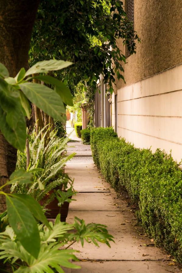 Suite 4A, Terraza, Garden House, Welcome To San Angel Mexico by Eksteriør bilde